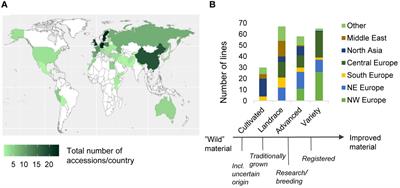 Novel SNP markers for flowering and seed quality traits in faba bean (Vicia faba L.): characterization and GWAS of a diversity panel